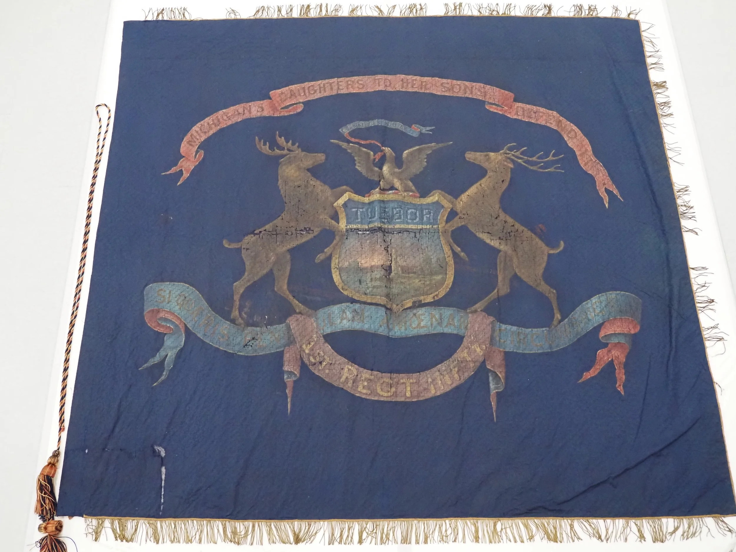 1st Michigan 3-Month Volunteer Infantry Regiment Flags — Michigan